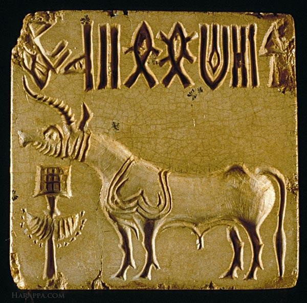 The seal depicting a one-horned bovine, for some the mythical unicorn: the people of the Indus Valle