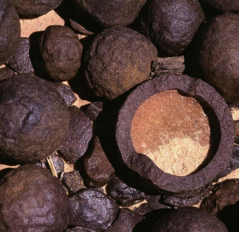 The Moqui Marbles are hematite spheres filled with silica sand, with a sandstone core, as can be see