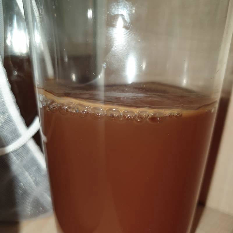 Experimenting kombucha: creating scoby from scratch ( previous batch case) Pt