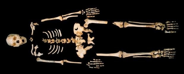 The DNA of a 400 thousand year old hominid that confuses scientists