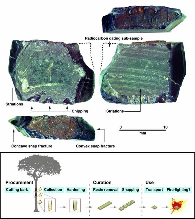 New evidence on how and when first humans migrated into the Pacific