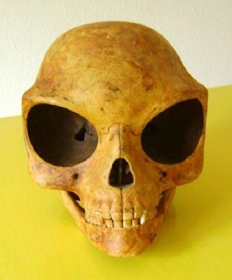 The skull of OLSTYKKE