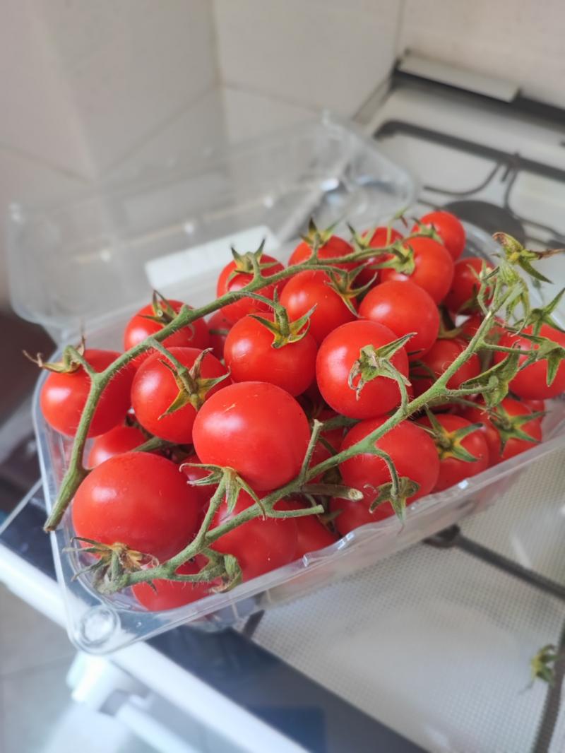 Insalata di seppia zucchina e pomodoro