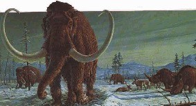 Mammoth