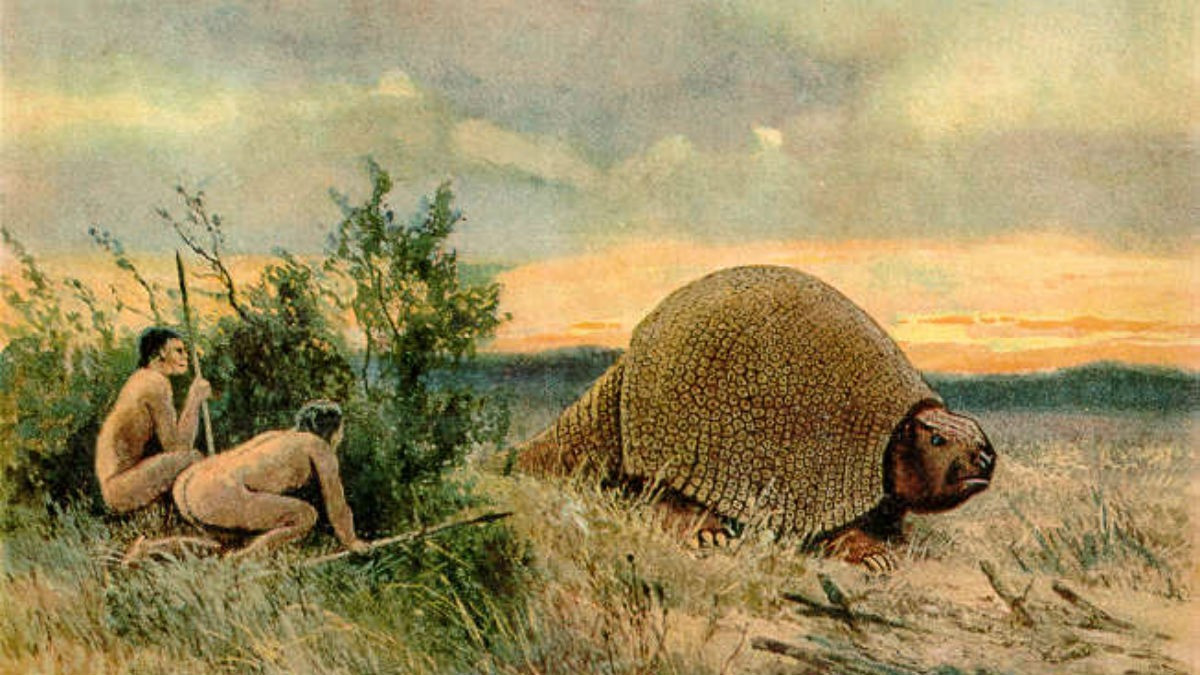 The Armadillo Splendido of South America was the size of a Smart car.