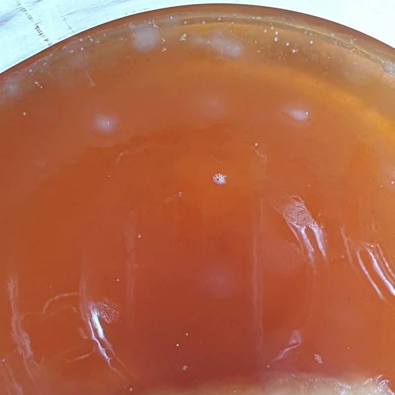 Kombucha update after 5 full days