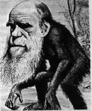 What’s Wrong With The Theory of Evolution?