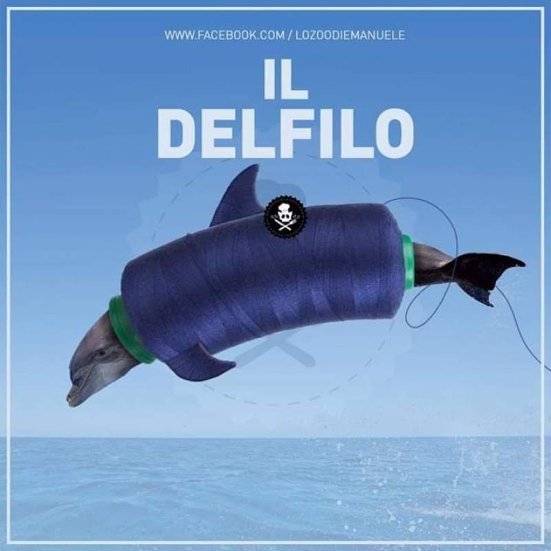 Il Delfilo