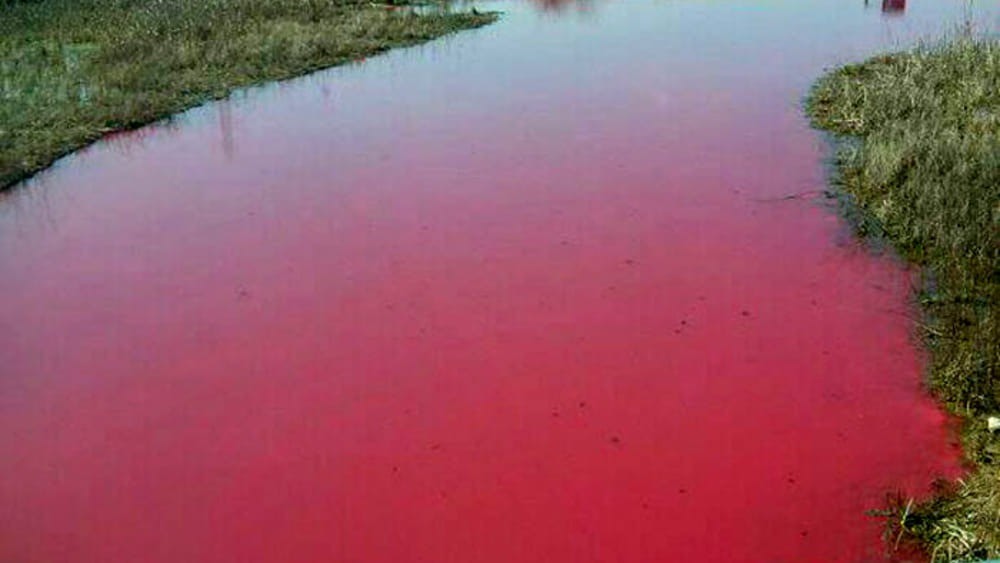 The Nile's water became red