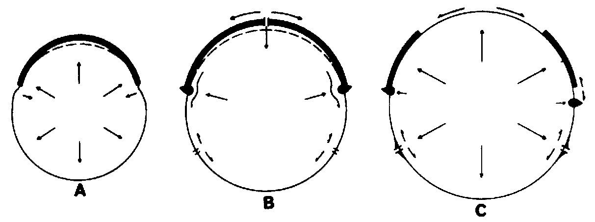 Figure 35 Rickard’s (1969) model for relief of surface curvature during Earth expansion. Figure A re