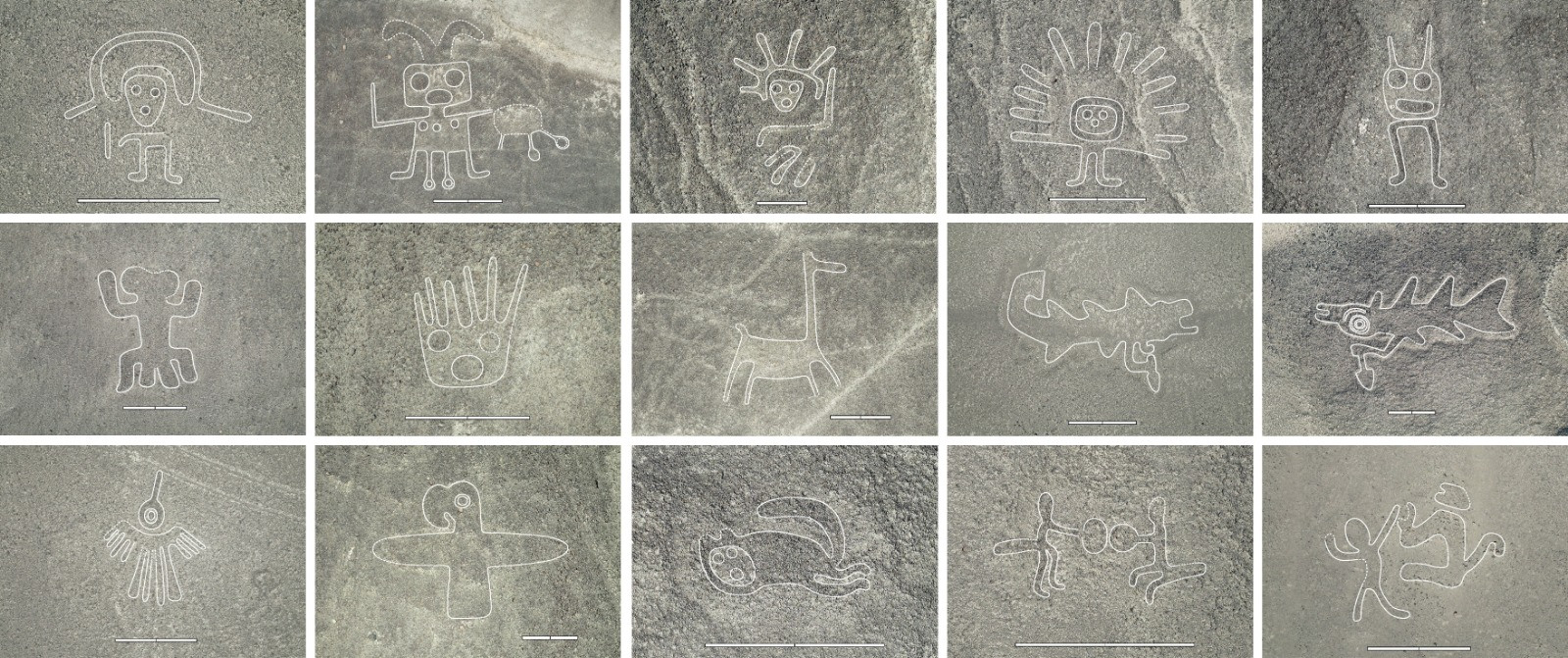 Fifteen of a total of 303 newly discovered relief-type figurative geoglyphs from the AI-assisted sur