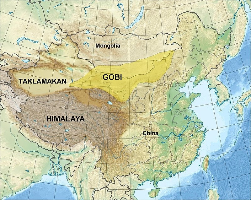 Gobi's map