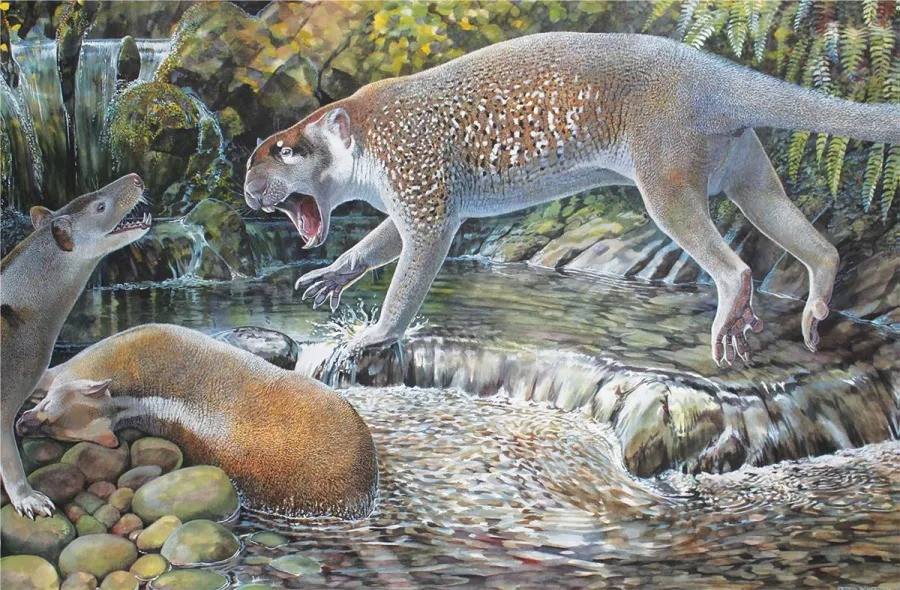 The Marsupial Lion, a relative of the recently extinct modern Tasmanian Tiger, was the most fearsome