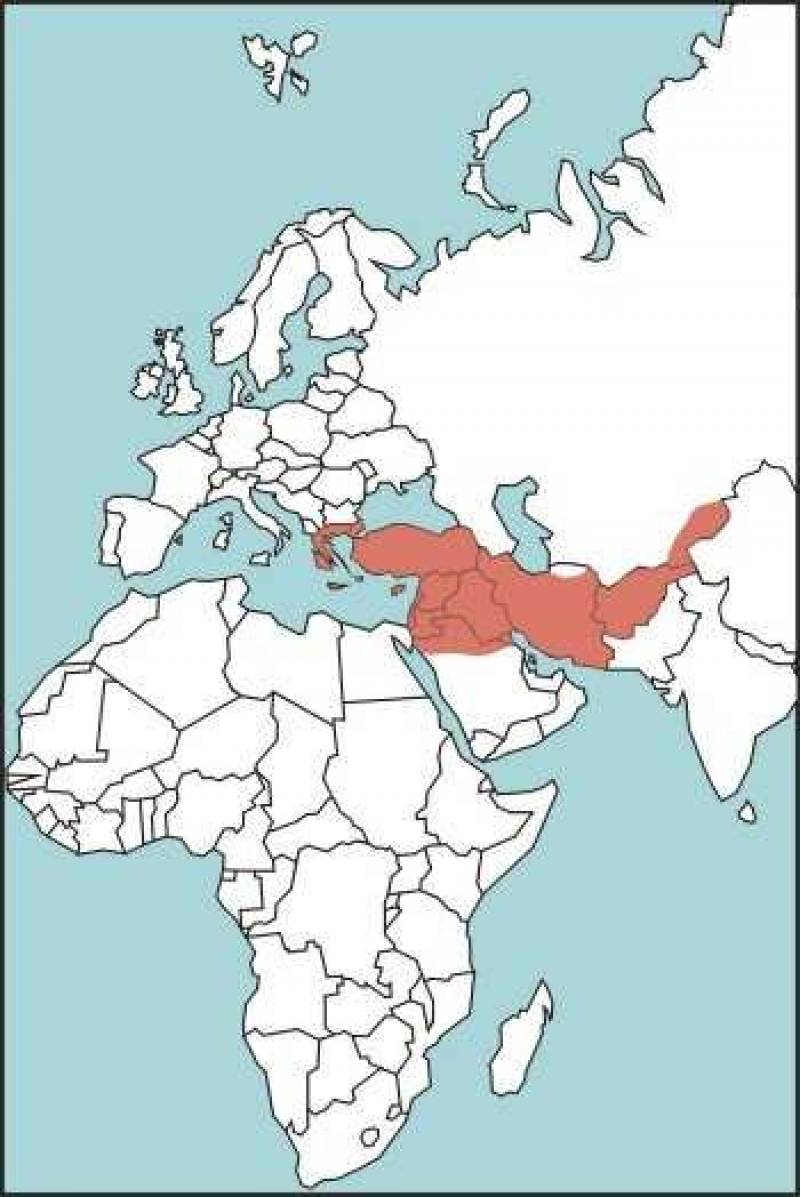 /* Figure E-33. Levant Viper Habitat */