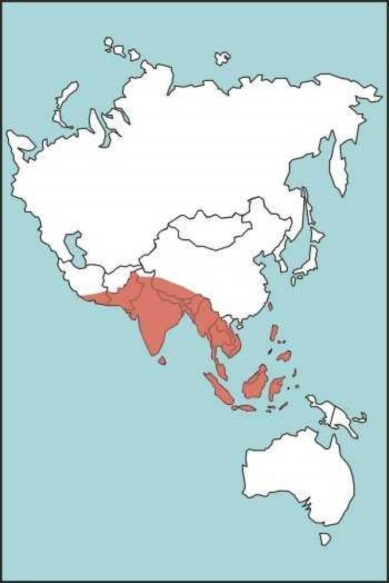 /* Figure E-24. Common Cobra or Asiatic Cobra Habitat */