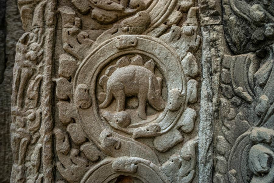 The incredible image of a flesh and blood stegosaurus carved on the walls of the Cambodian temple of
