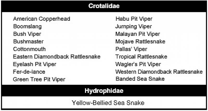 /* Figure E-3 Snake Families (Continued) */