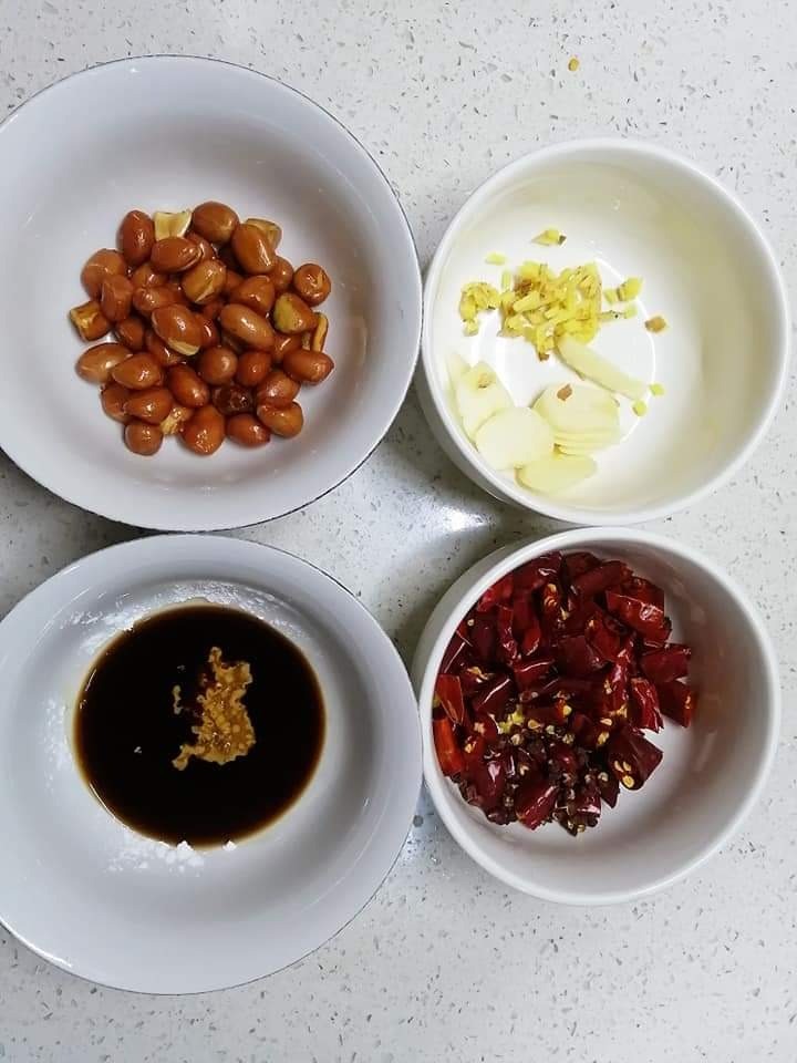 Kung Pao Chicken(宫保鸡丁), the typical Sichuan dish