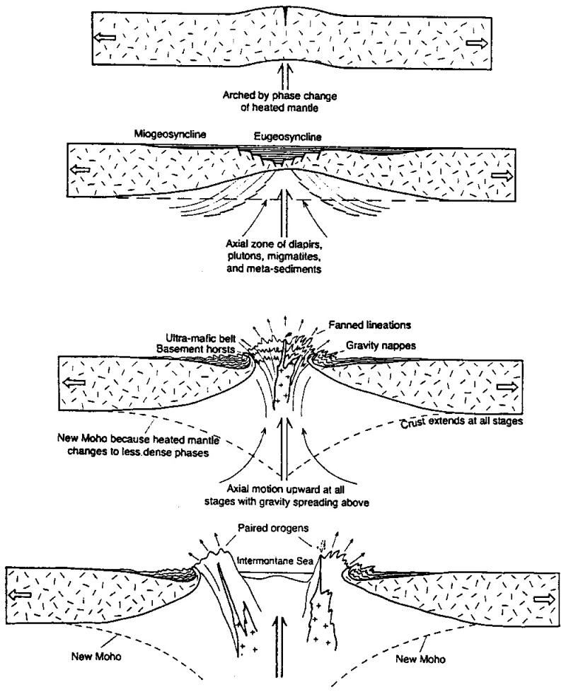 Figure 42 Carey’s (1994) model of diapiric orogenesis for a symmetrical single phase orogen rising a