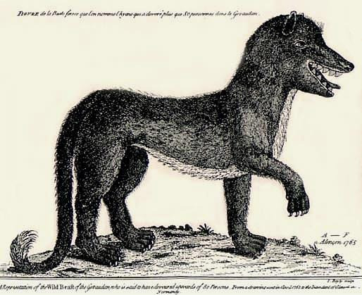 The Beast of Gévaudan portrayed with the body of a Dragon unhorsed and torn apart by its claws. This