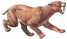 Thylacosmilus - Saber-toothed tiger