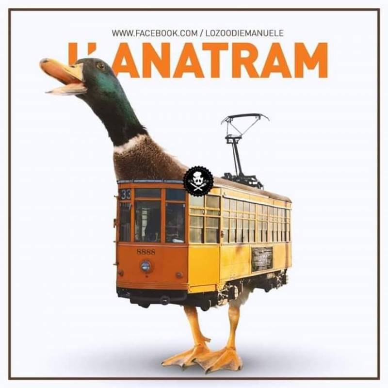 L' Anatram