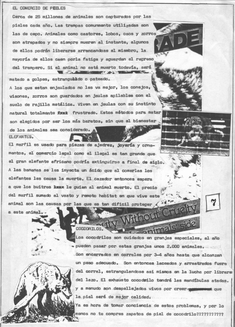 Radikal zine nº1 (page 7)