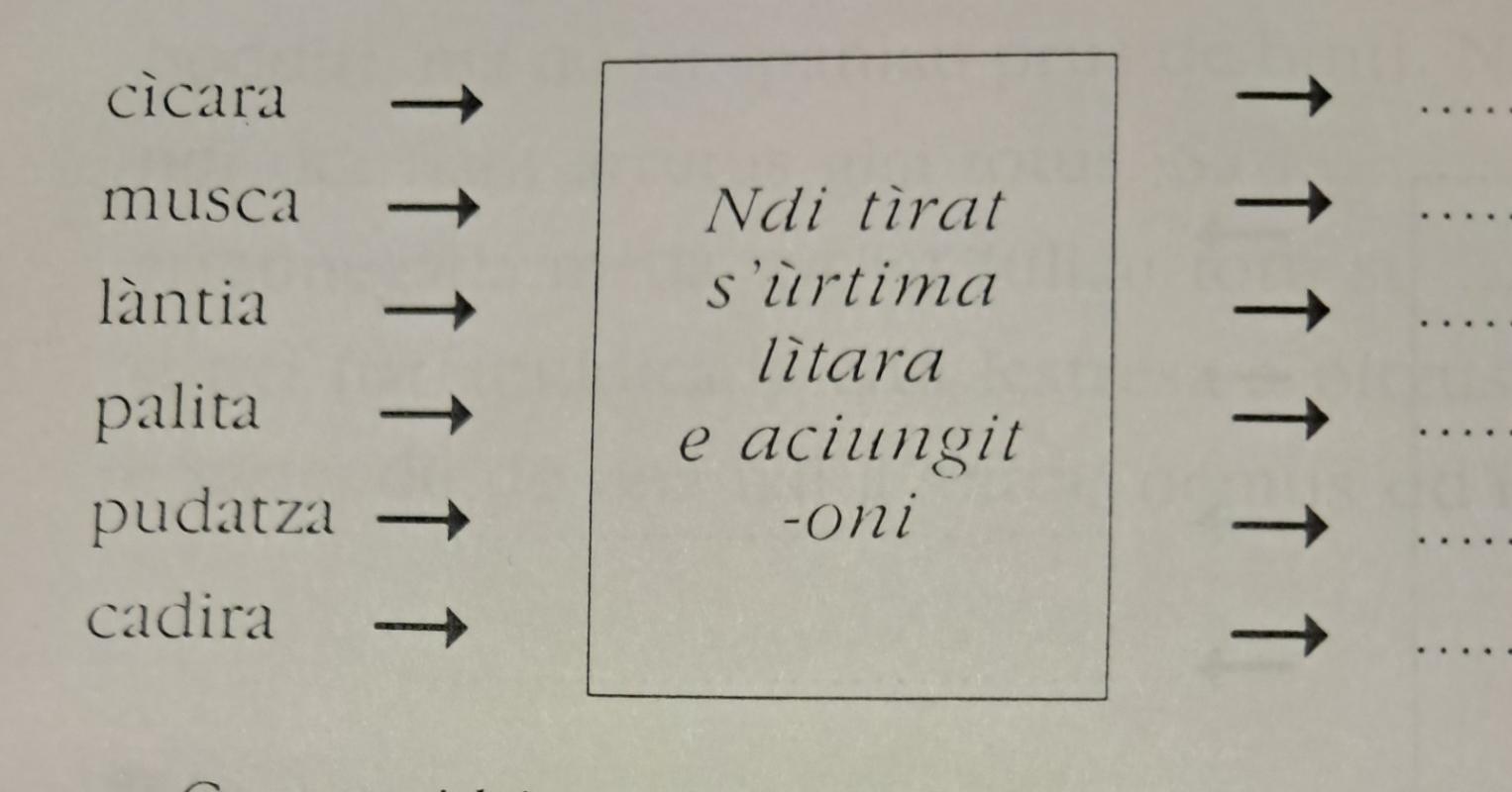 SABUDU BINTISETI DE SU MESI DE LADAMINI