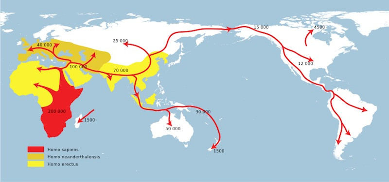 Map which reproduces the migrations of the Cro-Magnon peoples starting from 35 thousand years ago. F