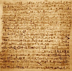 The Edwin Smith papyrus