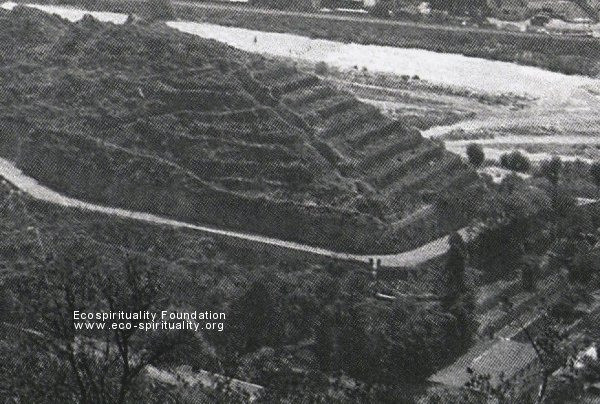 The pyramid seen from the West side. You can see the access road on half of the structure.