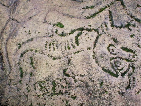 Graffiti and rock paintings depicting prehistoric animals: a Plesiosaur.