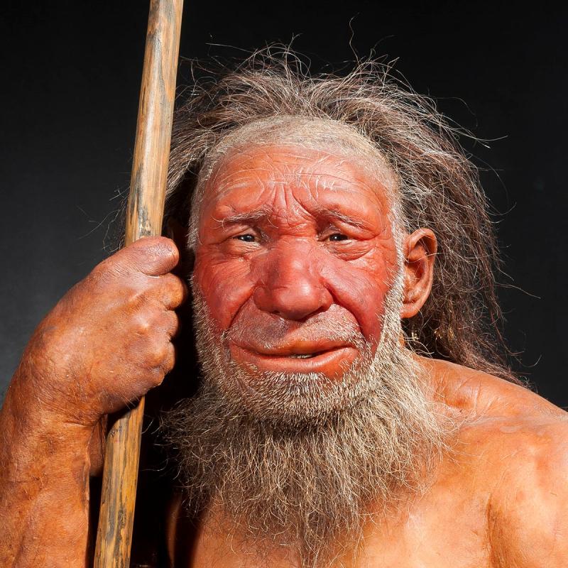 The funny theories about the first Neanderthal man