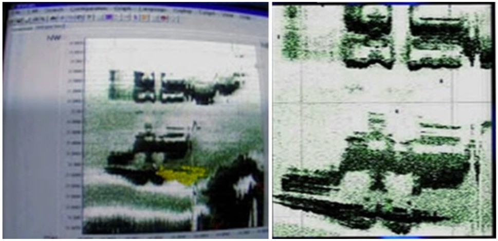 Original sonar images from the first 2000 version of the story.