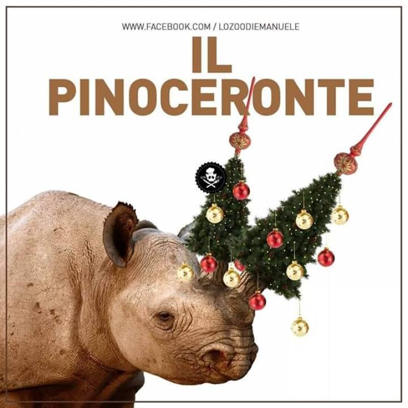 Il Pinoceronte