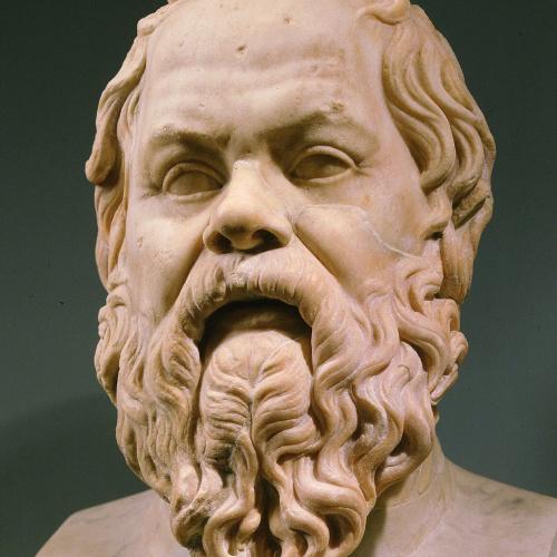 Socrate's profile picture